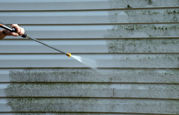 Best Vinyl Siding Pressure Washing in Kenbridge, VA
