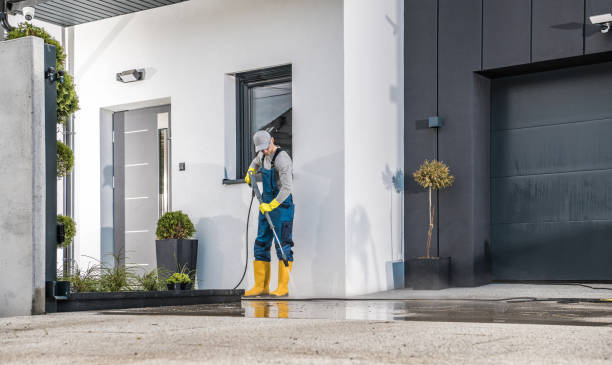 Best Window and Screen Pressure Cleaning in Kenbridge, VA